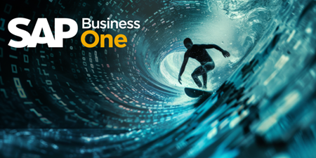 SAP Business One市场价格解析