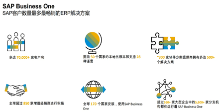 SAP B1 10.0 - 无法获取访问令牌，请与管理员联系